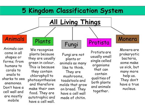 biological classification worksheet five-kingdom system answer key
